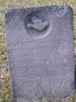Hurbert Andrew Tippett Hurbert Andrew Tippett