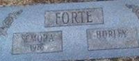 Hurley D Forte Hurley D Forte