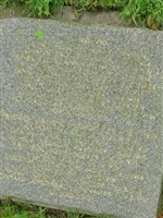 Husar Hielscher Georg Husar Hielscher Georg