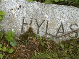 Hylas O. Dell Hylas O. Dell