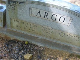 Ica Hatley Argo (2044714.jpg)