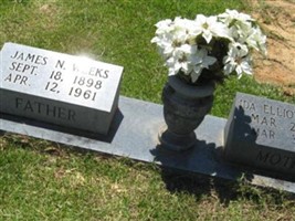 Ida Elliott Weeks
