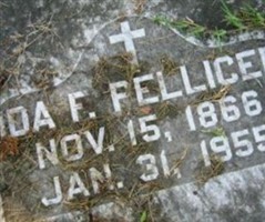 Ida Frances Simms Pellicer Ida Frances Simms Pellicer