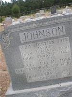 Ida M Johnson