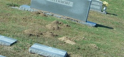 Ida Mae Creekmore Ida Mae Creekmore