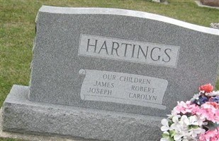Idaleen M Sutter Hartings Idaleen M Sutter Hartings