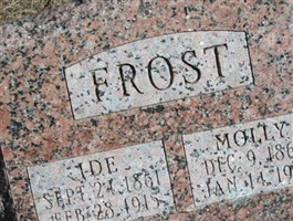 Idle Washington Frost