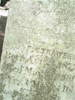 Ignatius E Traweek