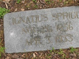 Ignatius Sprigg