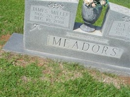 Ila Curry Meadors