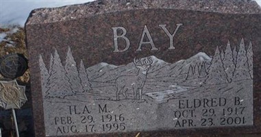 Ila M Bays