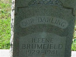 Ilene Brumfield Ilene Brumfield