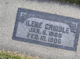Ilene Criddle Ilene Criddle
