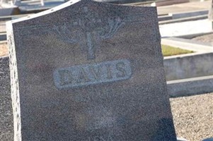 Ilene Davis Ilene Davis
