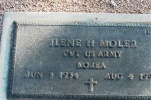 Ilene H Moler