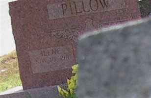 Ilene Pillow