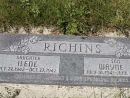 Ilene Richins