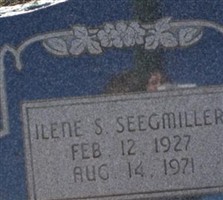 Ilene S Seegmiller