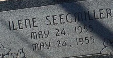 Ilene Seegmiller