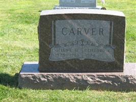 Illene H Sullivan Carver