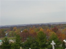 Immaculate Conception Cemetery