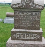 Imogene E. Cripps Joiner Imogene E. Cripps Joiner