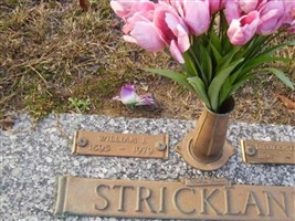 India Ola Thomas Strickland