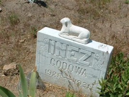 Inez Godowa