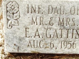 Inf. Gattis