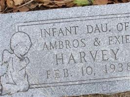 Infant d/o Ambros & Exie Harvey