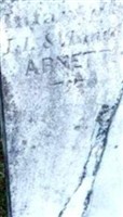 Infant Arnette