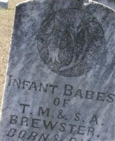 Infant Babes Brewster Infant Babes Brewster