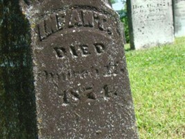 Infant Bonnett