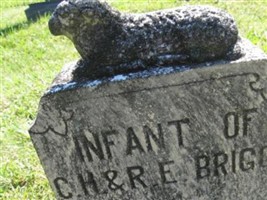 Infant Briggs