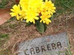 Infant Cabrera Infant Cabrera