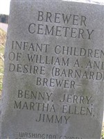 Infant Children Brewer Infant Children Brewer