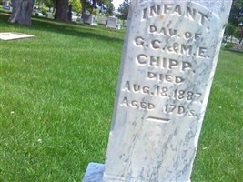 infant Chipp (1873778.jpg)