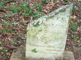 Infant Cunliffe