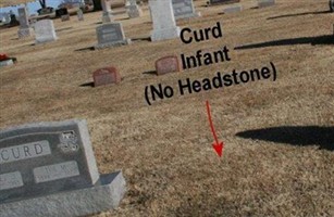 Infant Curd Infant Curd