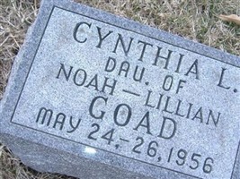 Infant Cynthia L Goad