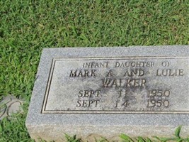 Infant Daughter Walker