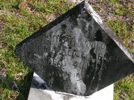 Infant Daughter Welch Infant Daughter Welch