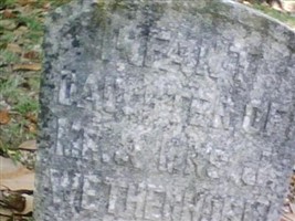 Infant Daughters Wetherhorn