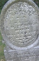 Infant Fender