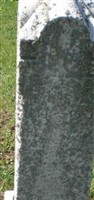 Infant Gillung