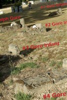 #3 Infant Gore