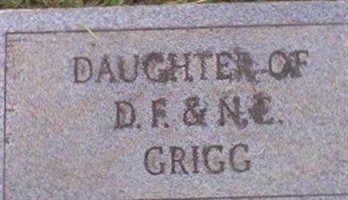 Infant Grigg Infant Grigg
