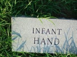 Infant Hand Infant Hand