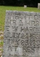 Infant Hardee