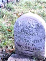 Infant Hutton